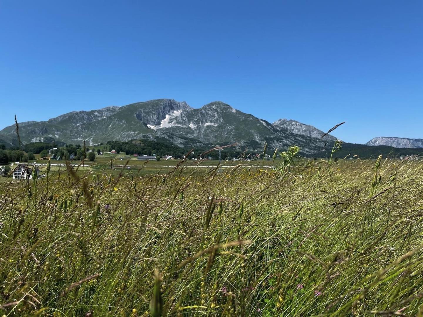 Mountain Peaceful Cottages Žabljak Dış mekan fotoğraf