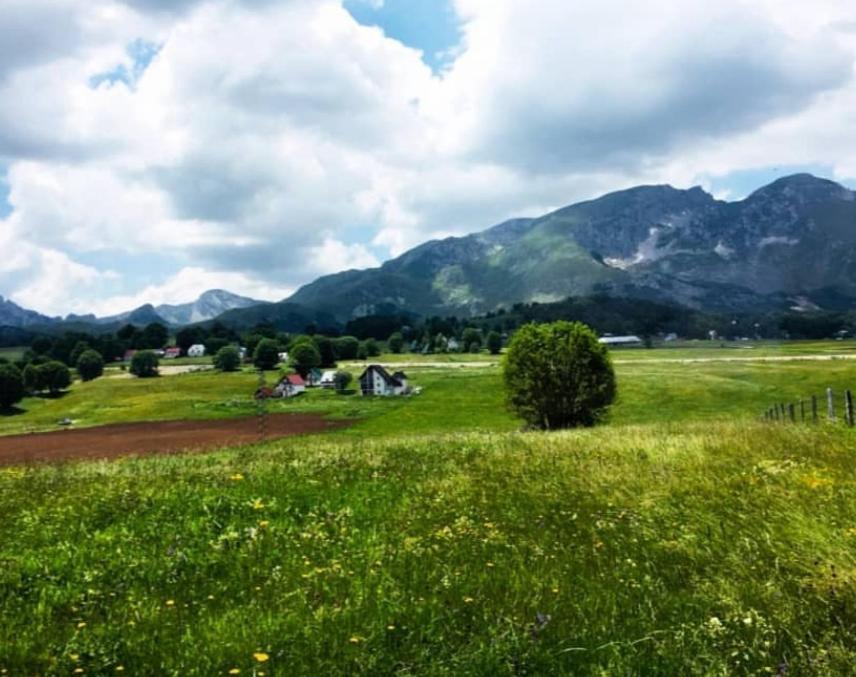 Mountain Peaceful Cottages Žabljak Dış mekan fotoğraf